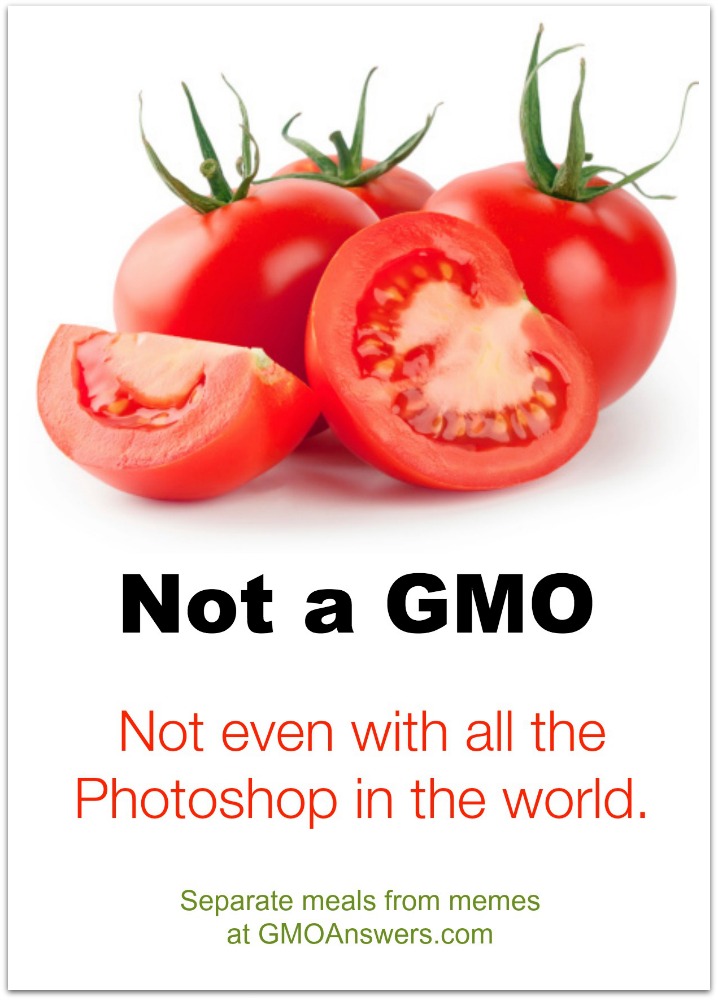 Educational Resources GMO Answers
