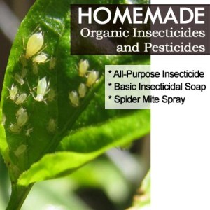 Myth busting: Are synthetic pesticides