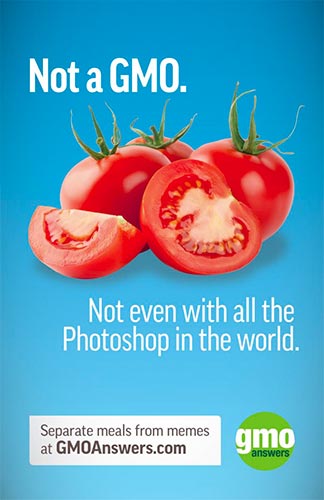 Tomatoes are not a GMO. Not even with all the Photoshop in the world. Separate meals from memes at GMOAnswers.com