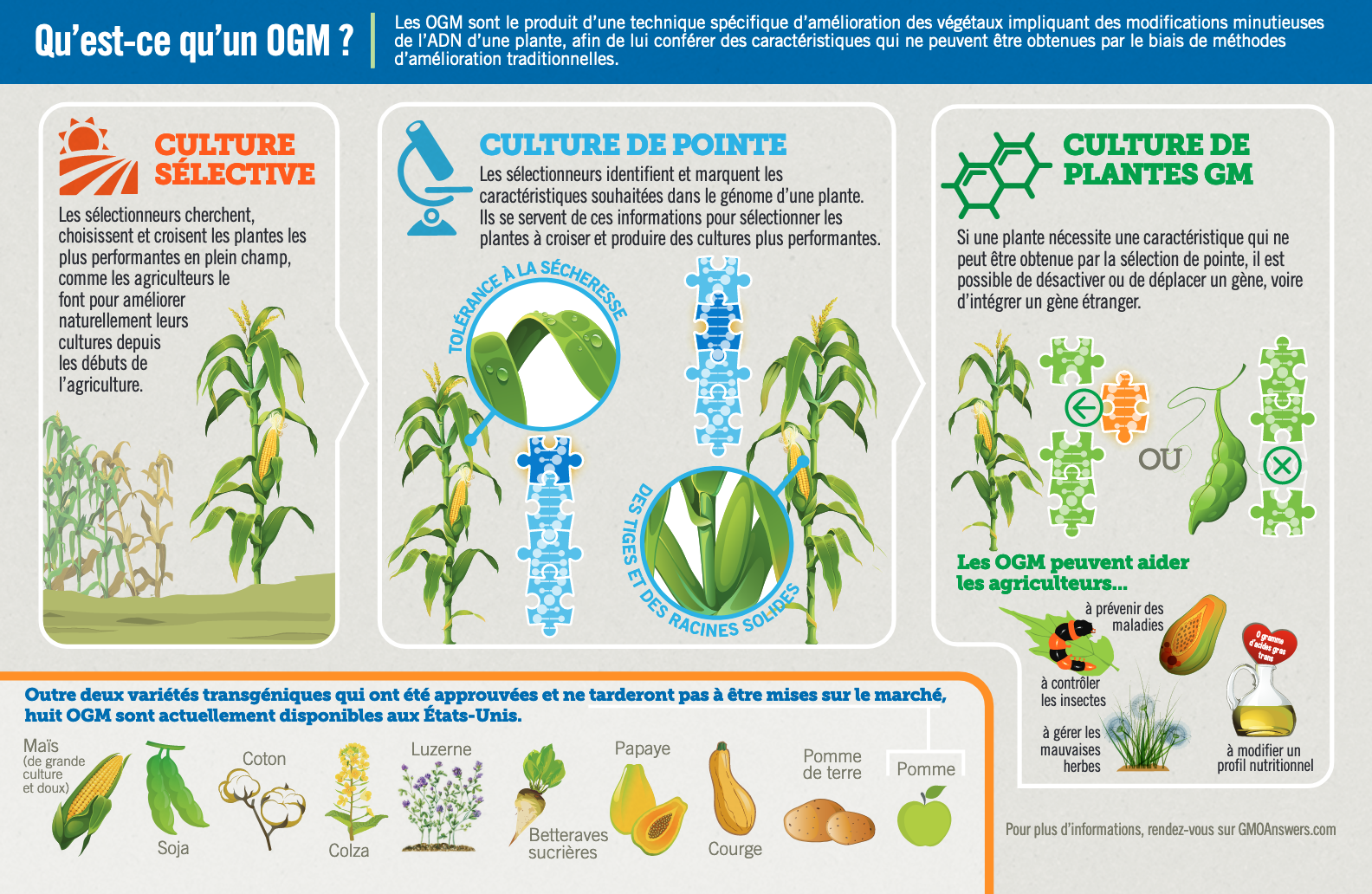 What Is a GMO?