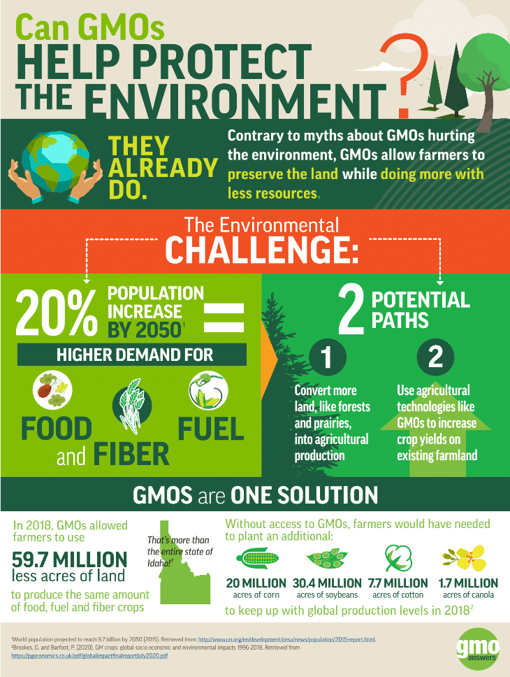 effects of GMOs on the environment