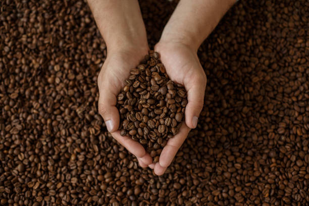 Coffee beans hands