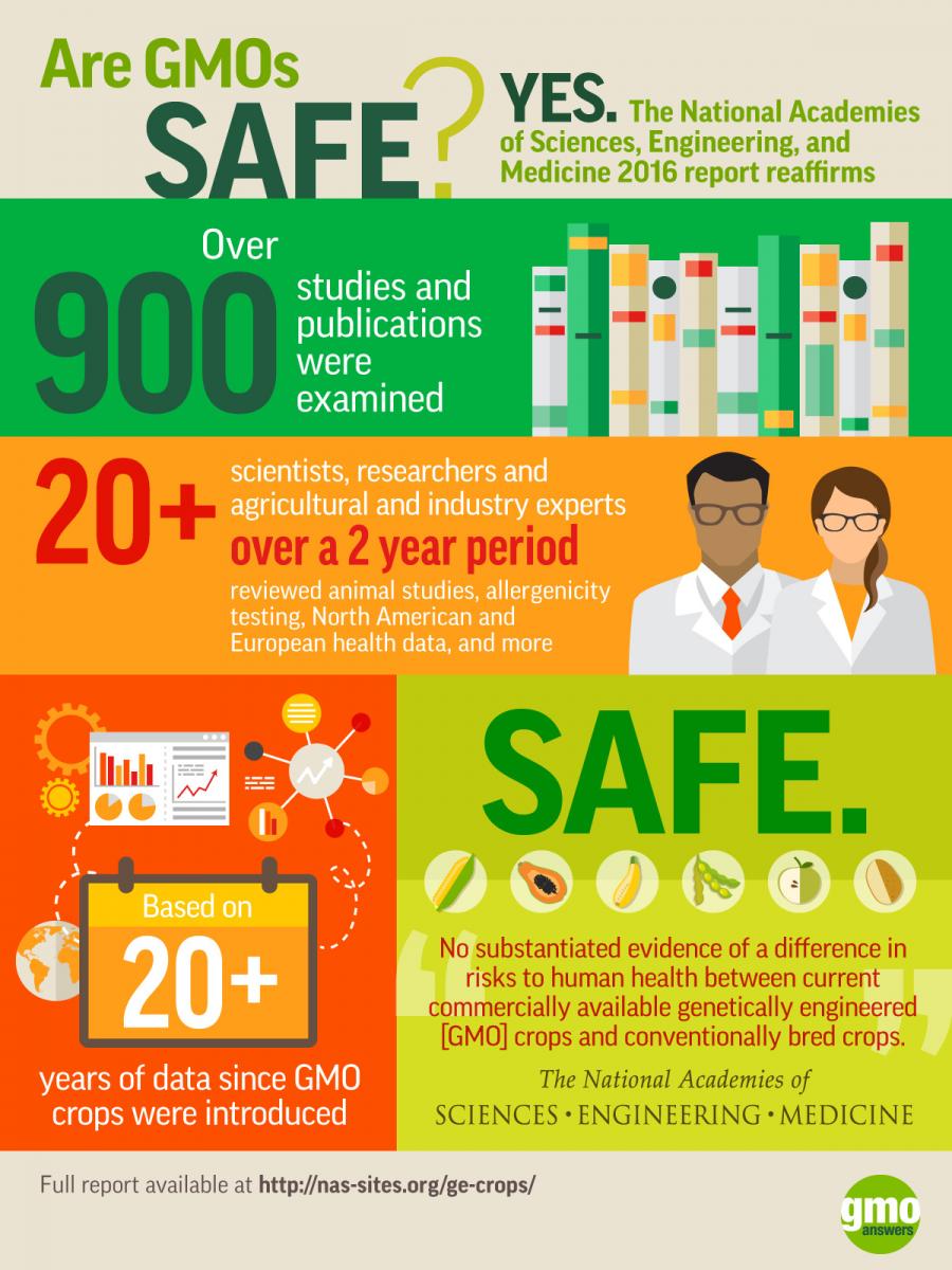 Are GMOs Safe? Infographic on the NAS GMO crop study.