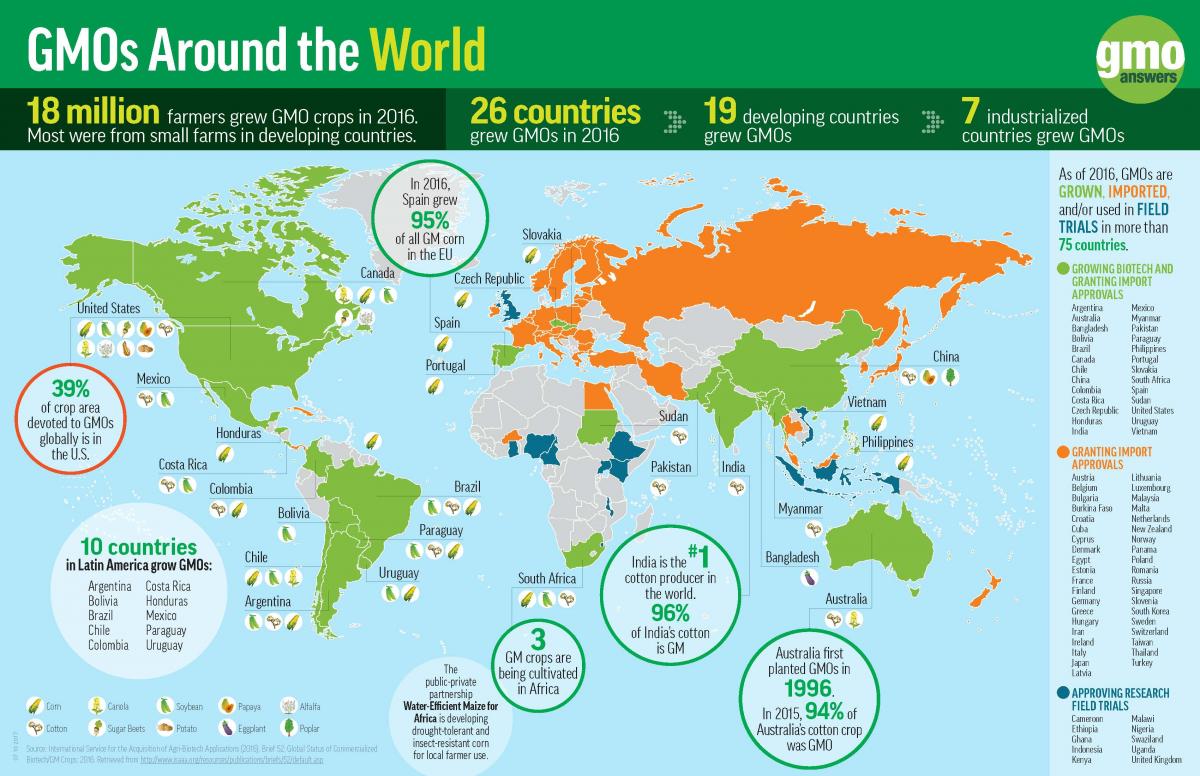Where GMOs Are Grown Around the World | GMO Statistics | GMO Answers