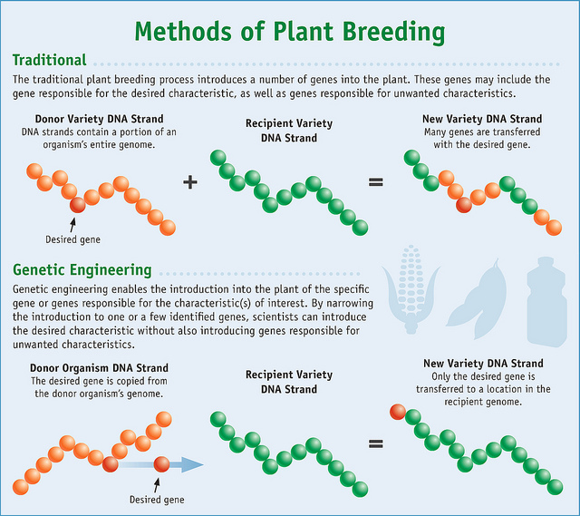 methods of plant breeding