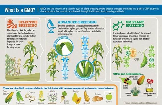 plant breeding techniques