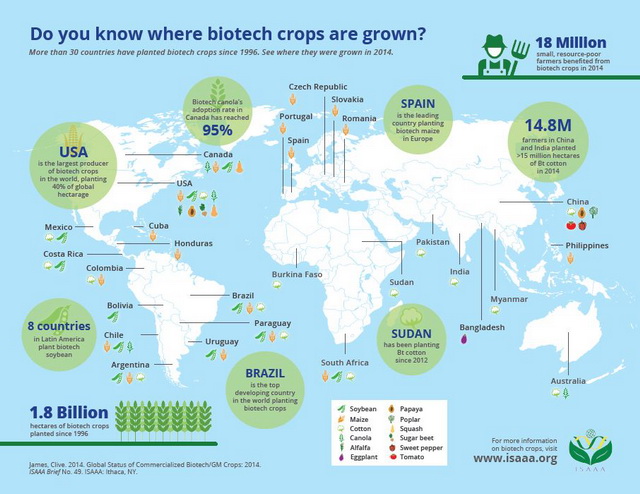 Do you know where GMO crops are grown? More than 30 countries have planted GMO crops since 1996.