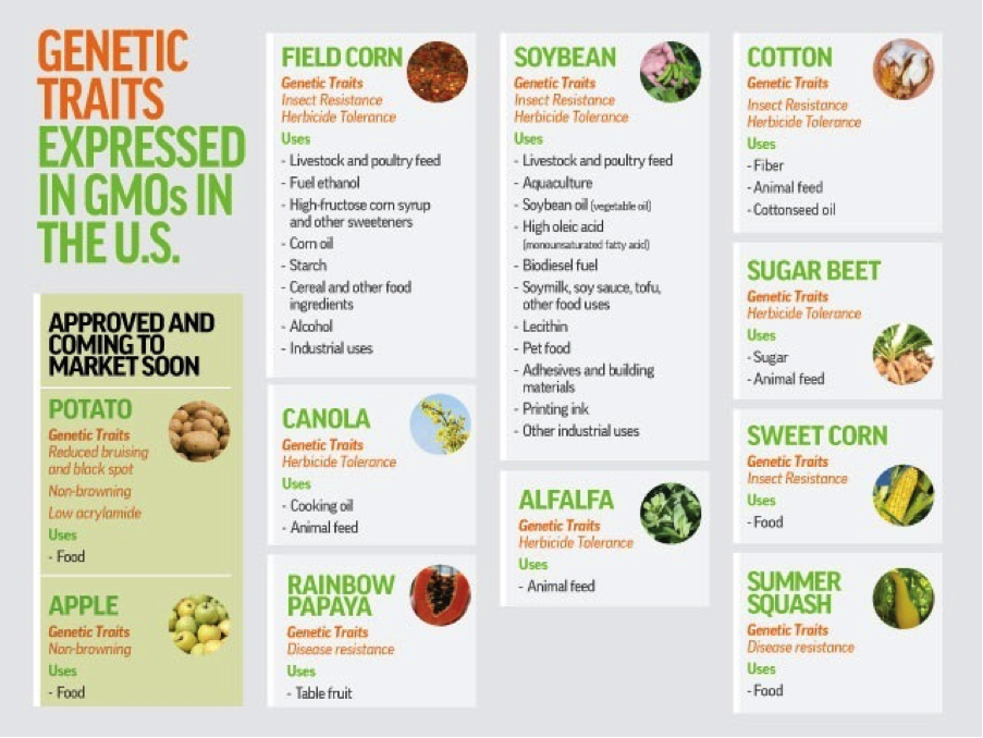 genetic traits in GMOs