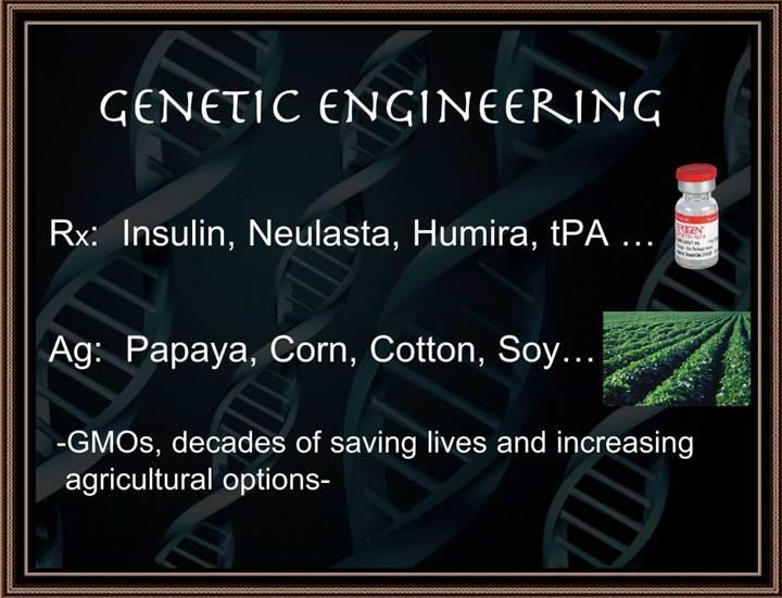 GMO Drug Examples