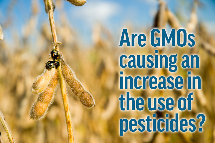 Are GMOs causing an increase in the use of pesticides?
