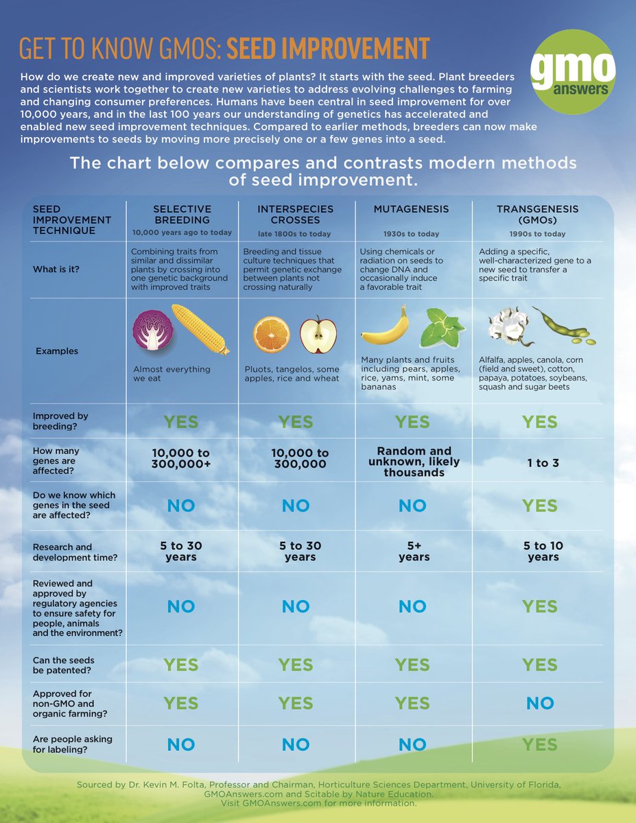 Seed breeding infographic