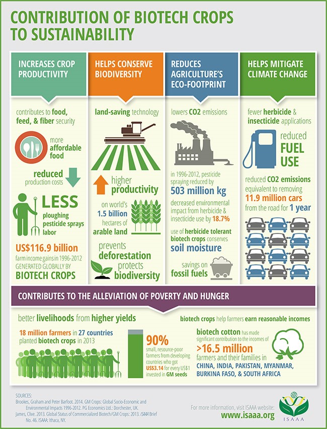 Contribution of GMOs to sustainability