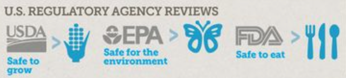 Regulatory Review