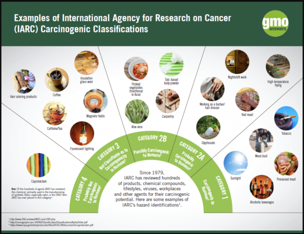 Glyphosate as a Carcinogen, Explained | Carcinogen Examples