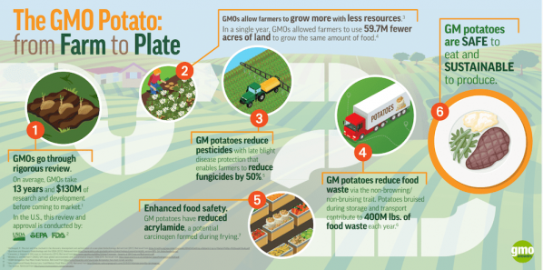 GMO potato farm to plate