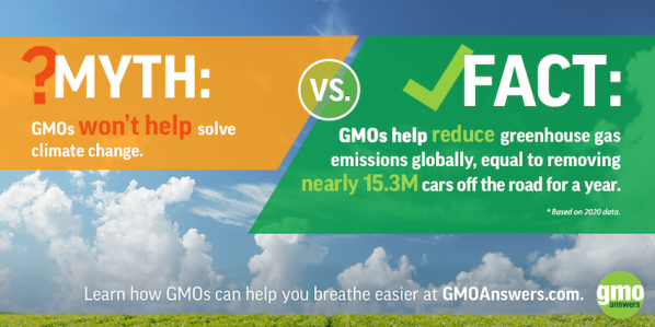 GMOs help climate change by removing greenhouse gases