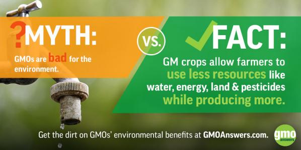 gmos environmental impact
