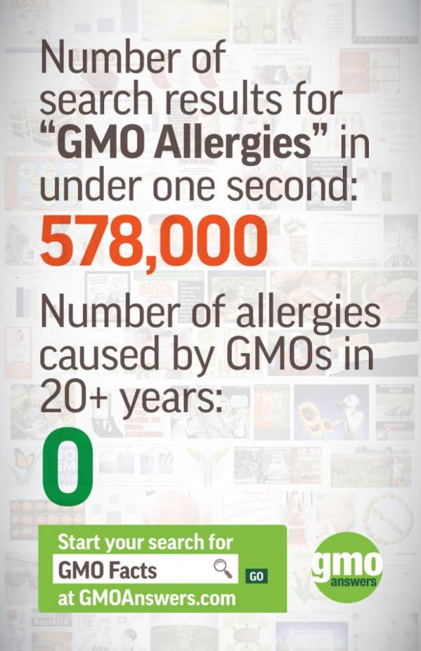 gmos and allergies