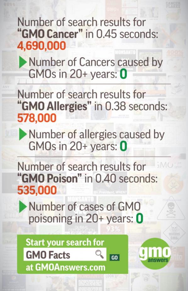gmo dangers search 