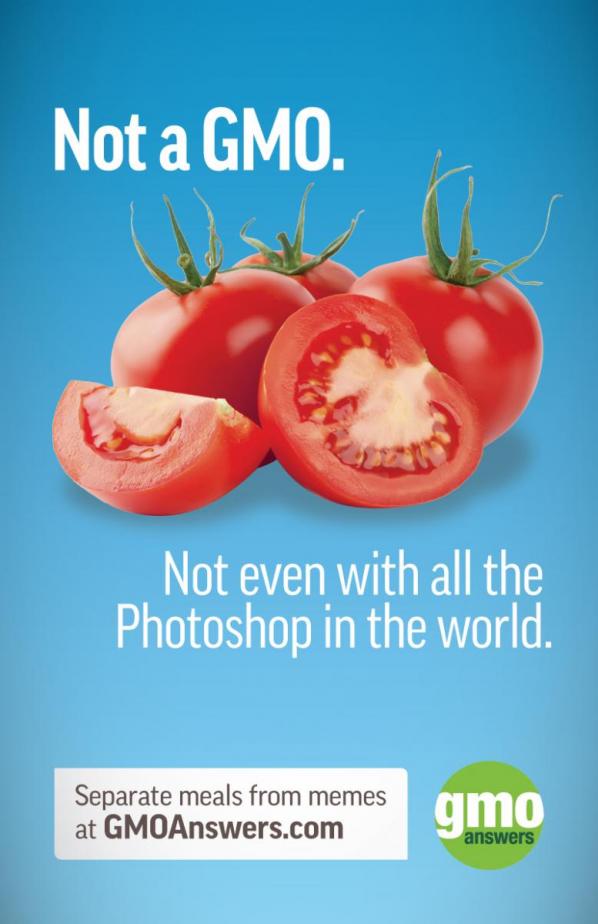 No GMO Tomatoes