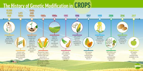 INFOGRAPHIC: The History of Genetic Modification in Crops