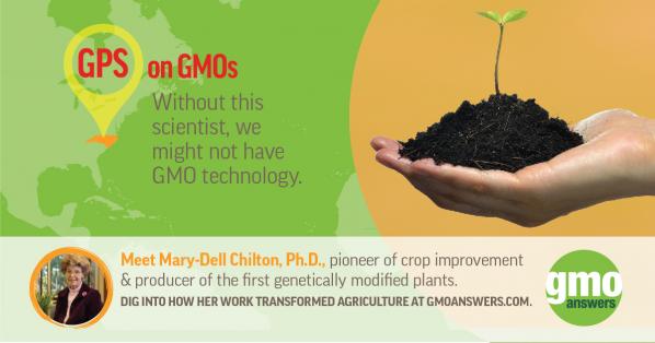 first GMOs transgenic