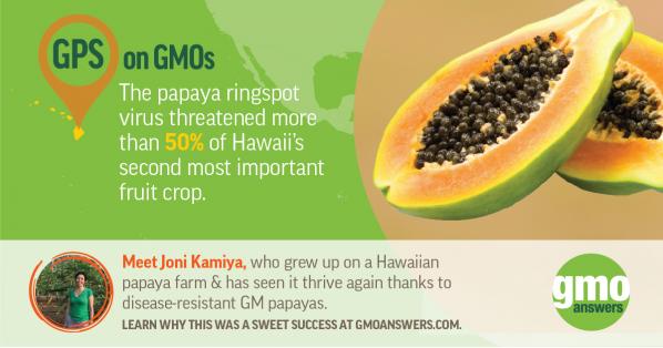 GMO papaya ringspot virus