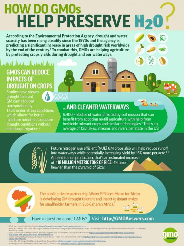 GMOs help preserve water quality