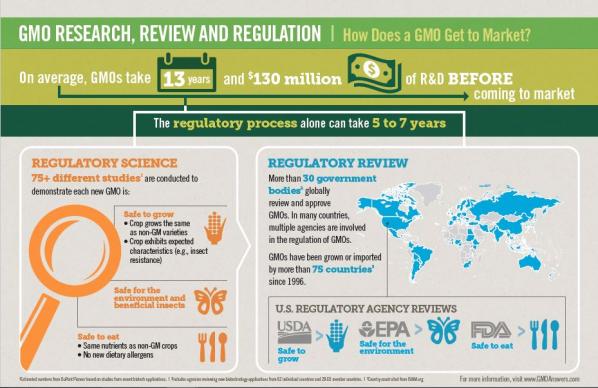 Infographic: GMO Research, Review And Regulation 